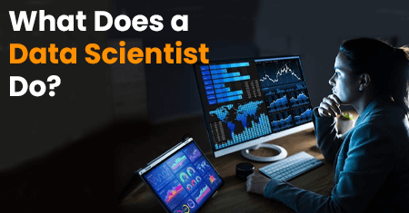 What Does a Data Scientist Do? </br></br>