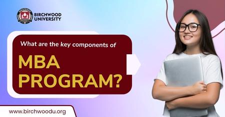 What are the key components of the MBA program? Explaining in brief