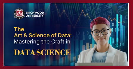 The Art and Science of Data: Mastering the Craft in Data Science