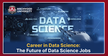 What is the Future of a Data Science Career?