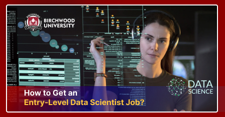 How to Get an Entry-Level Data Scientist Job in 2024