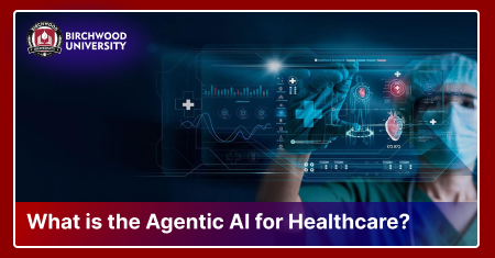 What is the Agentic AI for Healthcare?