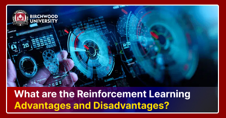 What are the Reinforcement Learning Advantages and Disadvantages?