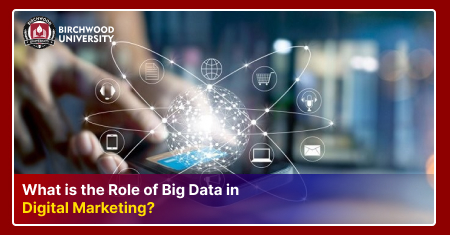 The Strategic Importance of Big Data in Digital Marketing System