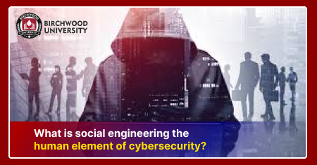 What is Social Engineering - The Human Element of Cybersecurity? 